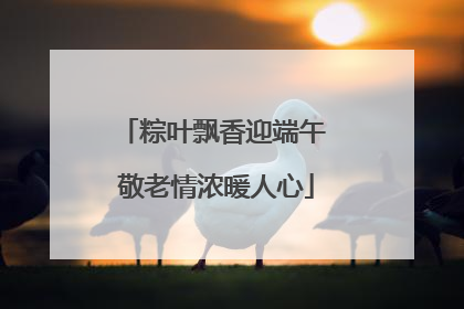 粽叶飘香迎端午 敬老情浓暖人心