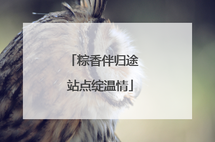 粽香伴归途 站点绽温情