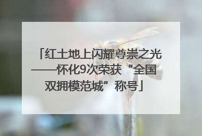 红土地上闪耀尊崇之光——怀化9次荣获“全国双拥模范城”称号
