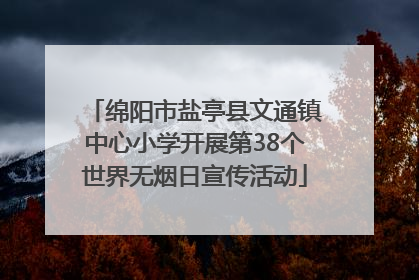 绵阳市盐亭县文通镇中心小学开展第38个世界无烟日宣传活动