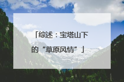 综述：宝塔山下的“草原风情”