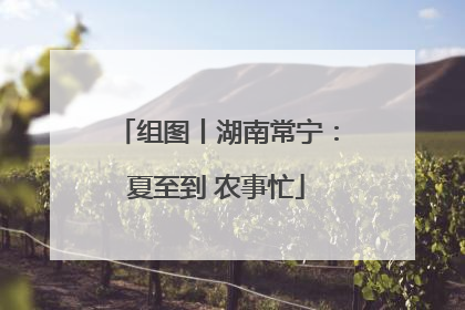 组图丨湖南常宁：夏至到 农事忙