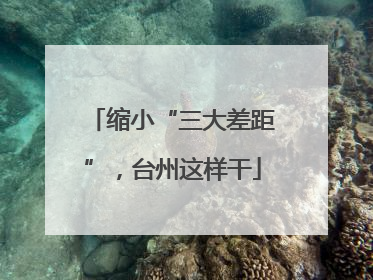 缩小“三大差距”，台州这样干