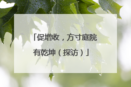 促增收，方寸庭院有乾坤（探访）