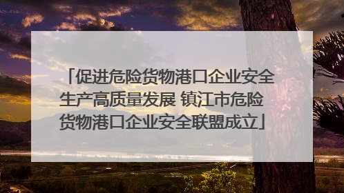 促进危险货物港口企业安全生产高质量发展 镇江市危险货物港口企业安全联盟成立
