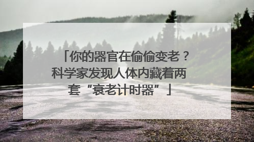 你的器官在偷偷变老？科学家发现人体内藏着两套“衰老计时器”