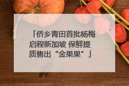 侨乡青田首批杨梅启程新加坡 保鲜提质售出“金果果”