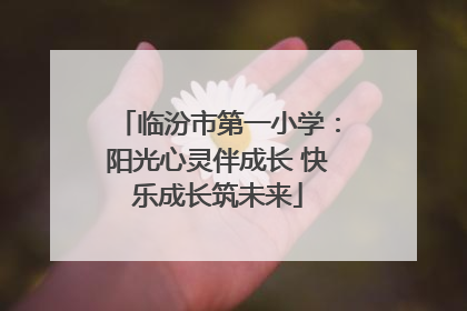 临汾市第一小学：阳光心灵伴成长 快乐成长筑未来