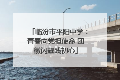 临汾市平阳中学：青春向党担使命 团徽闪耀践初心