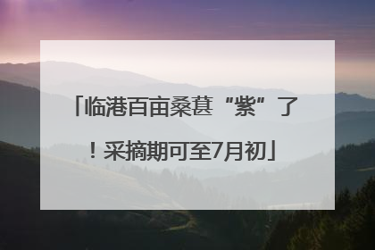 临港百亩桑葚“紫”了！采摘期可至7月初