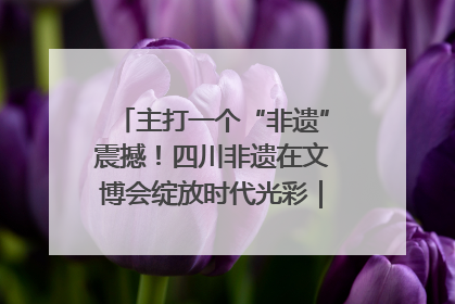 主打一个“非遗”震撼！四川非遗在文博会绽放时代光彩｜文博向“新”