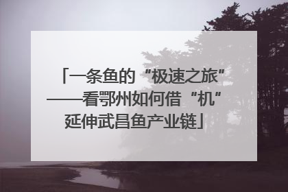 一条鱼的“极速之旅”——看鄂州如何借“机”延伸武昌鱼产业链
