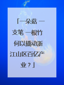 一朵菇 一支笔 一根竹 何以撬动浙江山区百亿产业？