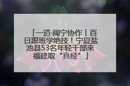一道·闽宁协作丨百日跟班学绝技！宁夏盐池县53名年轻干部来福建取“真经”