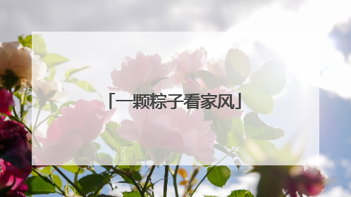 一颗粽子看家风