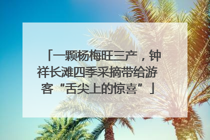 一颗杨梅旺三产，钟祥长滩四季采摘带给游客“舌尖上的惊喜”