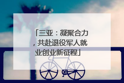 三亚：凝聚合力，共赴退役军人就业创业新征程