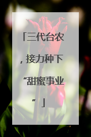 三代台农，接力种下“甜蜜事业”