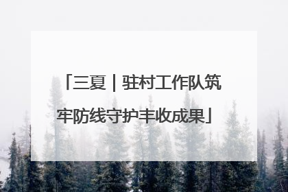 三夏｜驻村工作队筑牢防线守护丰收成果