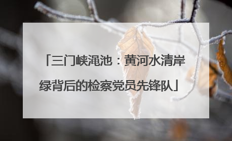 三门峡渑池：黄河水清岸绿背后的检察党员先锋队