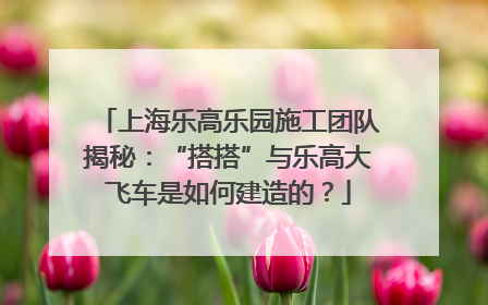 上海乐高乐园施工团队揭秘：“搭搭”与乐高大飞车是如何建造的？