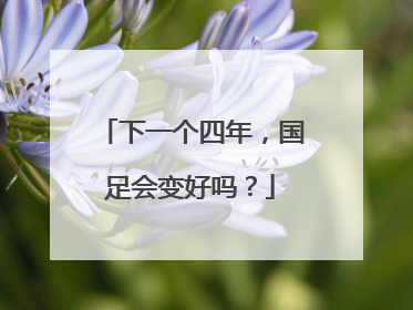 下一个四年，国足会变好吗？
