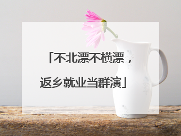 不北漂不横漂，返乡就业当群演