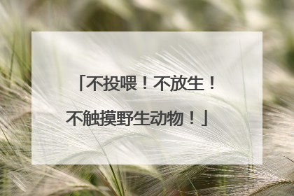 不投喂！不放生！不触摸野生动物！