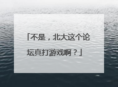 不是，北大这个论坛真打游戏啊？