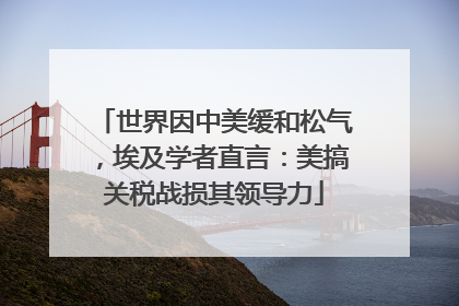 世界因中美缓和松气，埃及学者直言：美搞关税战损其领导力
