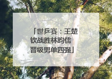 世乒赛：王楚钦战胜林昀儒 晋级男单四强