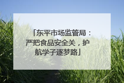 东平市场监管局：严把食品安全关，护航学子逐梦路