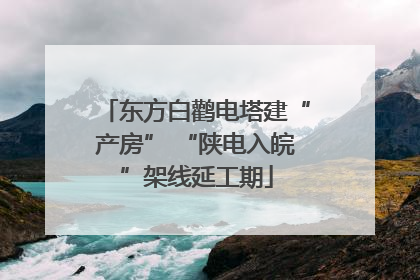 东方白鹳电塔建“产房” “陕电入皖”架线延工期
