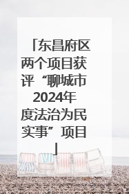 东昌府区两个项目获评“聊城市2024年度法治为民实事”项目