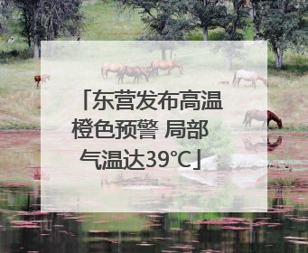 东营发布高温橙色预警 局部气温达39℃