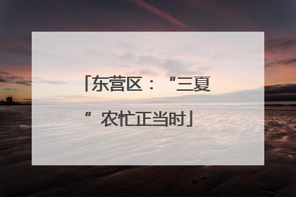 东营区：“三夏”农忙正当时
