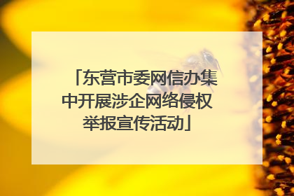 东营市委网信办集中开展涉企网络侵权举报宣传活动