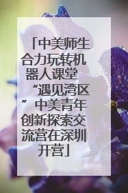 中美师生合力玩转机器人课堂 “遇见湾区”中美青年创新探索交流营在深圳开营