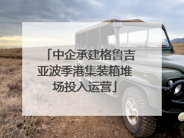 中企承建格鲁吉亚波季港集装箱堆场投入运营