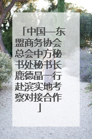 中国—东盟商务协会总会中方秘书处秘书长鹿德晶一行赴滨实地考察对接合作