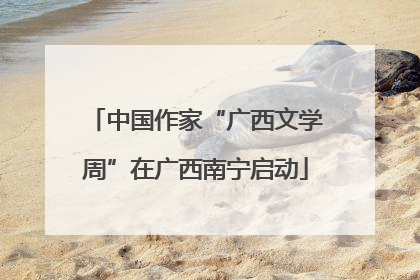 中国作家“广西文学周”在广西南宁启动