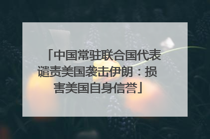 中国常驻联合国代表谴责美国袭击伊朗：损害美国自身信誉