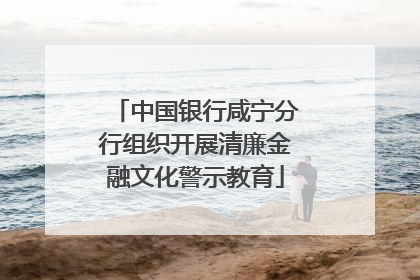 中国银行咸宁分行组织开展清廉金融文化警示教育