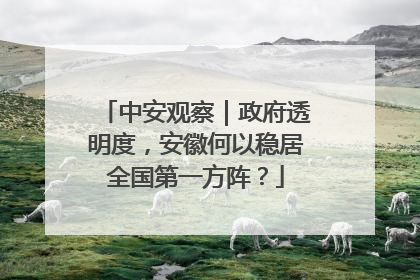 中安观察｜政府透明度，安徽何以稳居全国第一方阵？