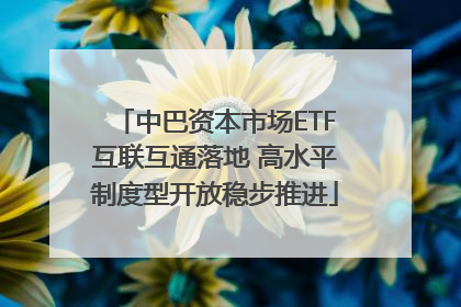 中巴资本市场ETF互联互通落地 高水平制度型开放稳步推进