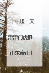中超：天津津门虎胜山东泰山