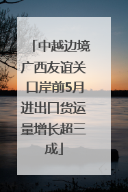 中越边境广西友谊关口岸前5月进出口货运量增长超三成