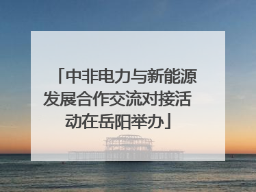 中非电力与新能源发展合作交流对接活动在岳阳举办