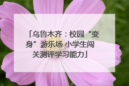 乌鲁木齐：校园“变身”游乐场 小学生闯关测评学习能力