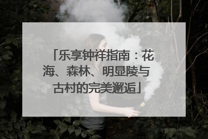 乐享钟祥指南：花海、森林、明显陵与古村的完美邂逅